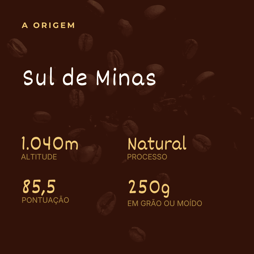 COMBO TRÊS ESTAÇÕES | UMA VIAGEM PELOS TERROIRS DE MINAS - Imagem 5