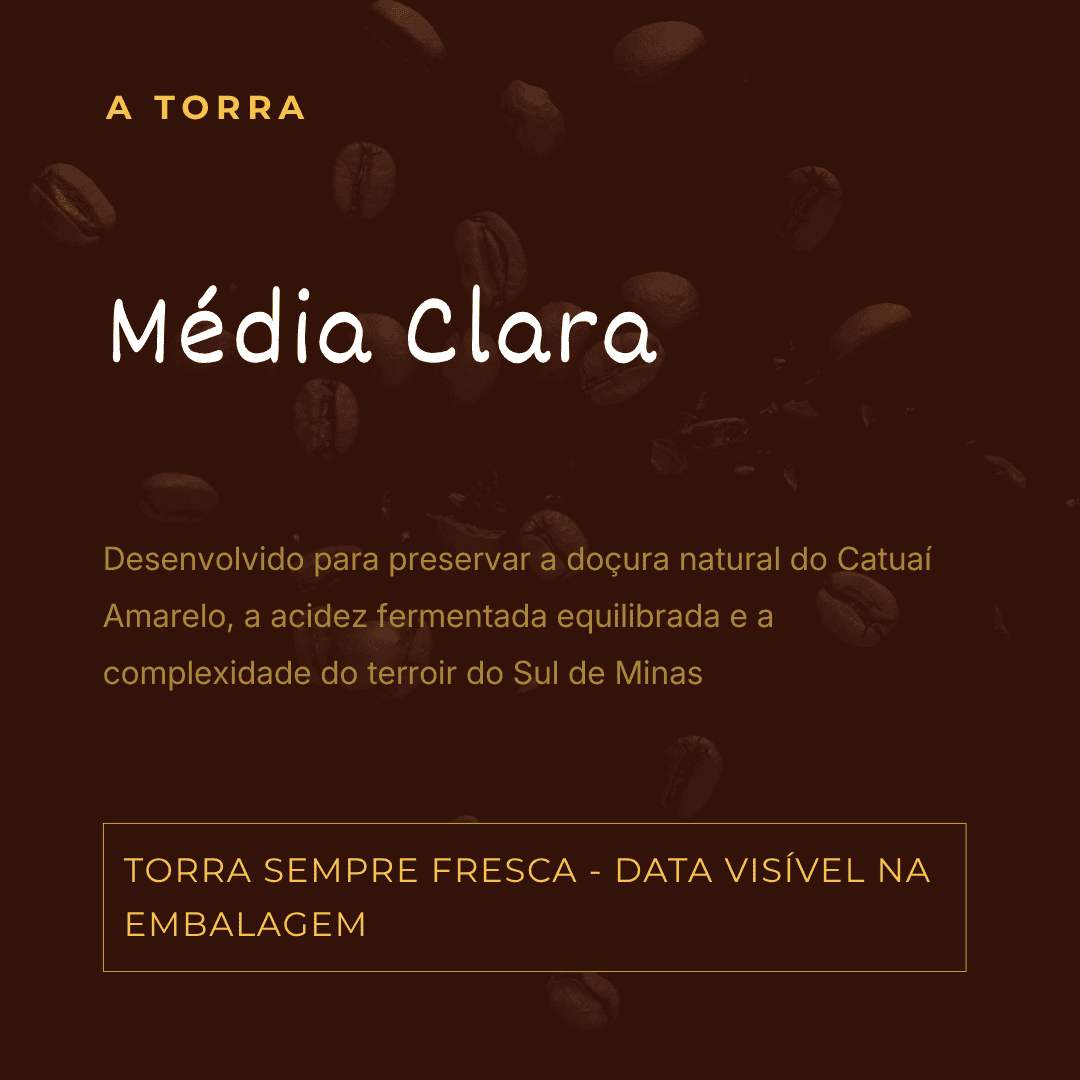 CAFÉ ESPECIAL CATUAÍ AMARELO | DOCE DE BANANA E MELAÇO - Imagem 5