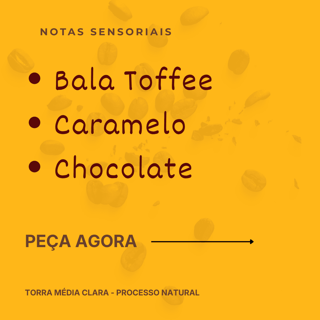 CAFÉ ESPECIAL PARA ESPRESSO | CATUAÍ AMARELO | CHOCOLATE E CARAMELO - Imagem 6